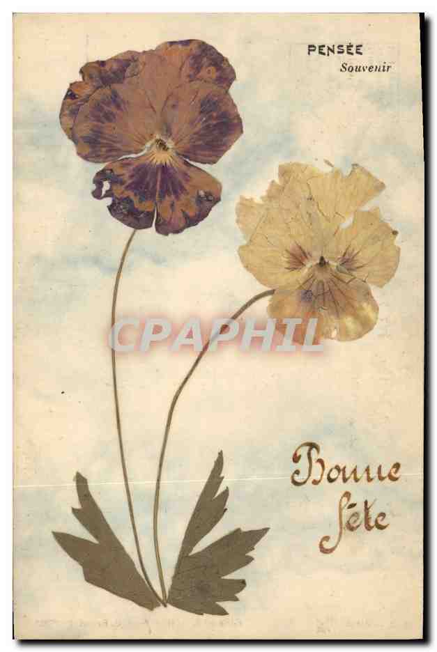 Pensée — Souvenir — Union Postale Universelle, Série n°1