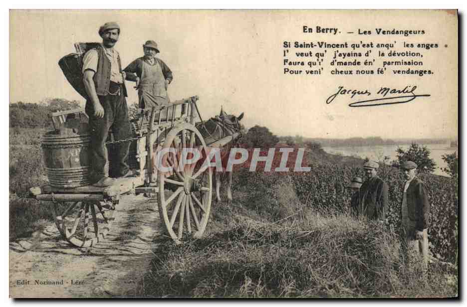 CPA Vin Vendanges En Berry Les vendangeurs 
