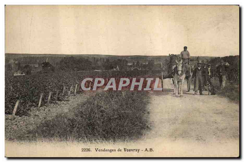 CPA Vin Vendanges de Vouvray 