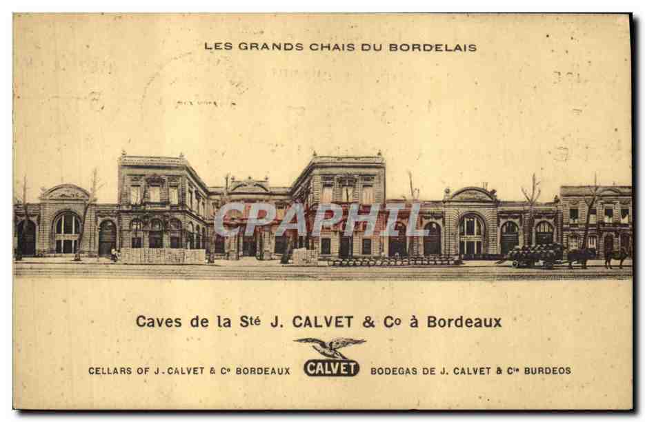CPA Vin Vendanges Les grands chais du Bordeaux Caves de la Ste J Calvet Bordeaux 