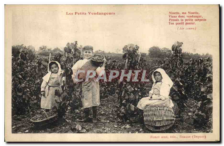 CPA Vin Vendanges Les petits vendangeurs Enfants 