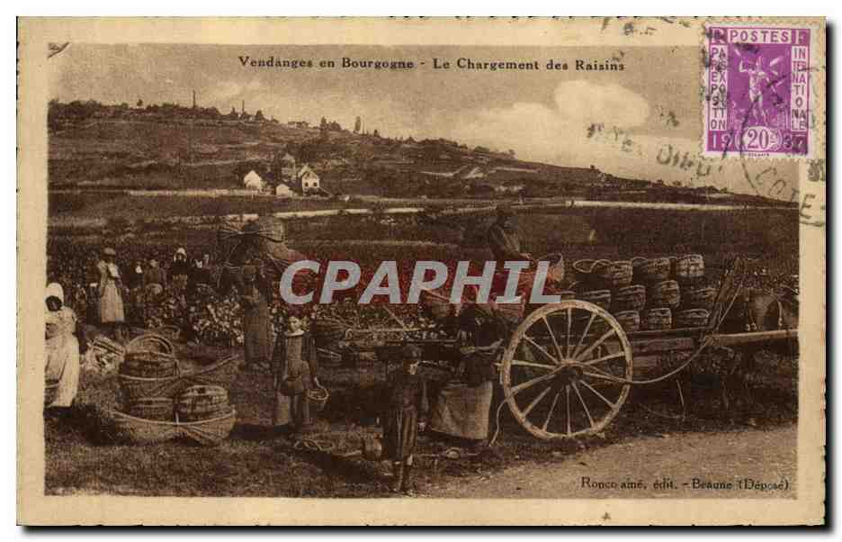 CPA Vin Vendanges en Bourgogne Le chargement des raisins 