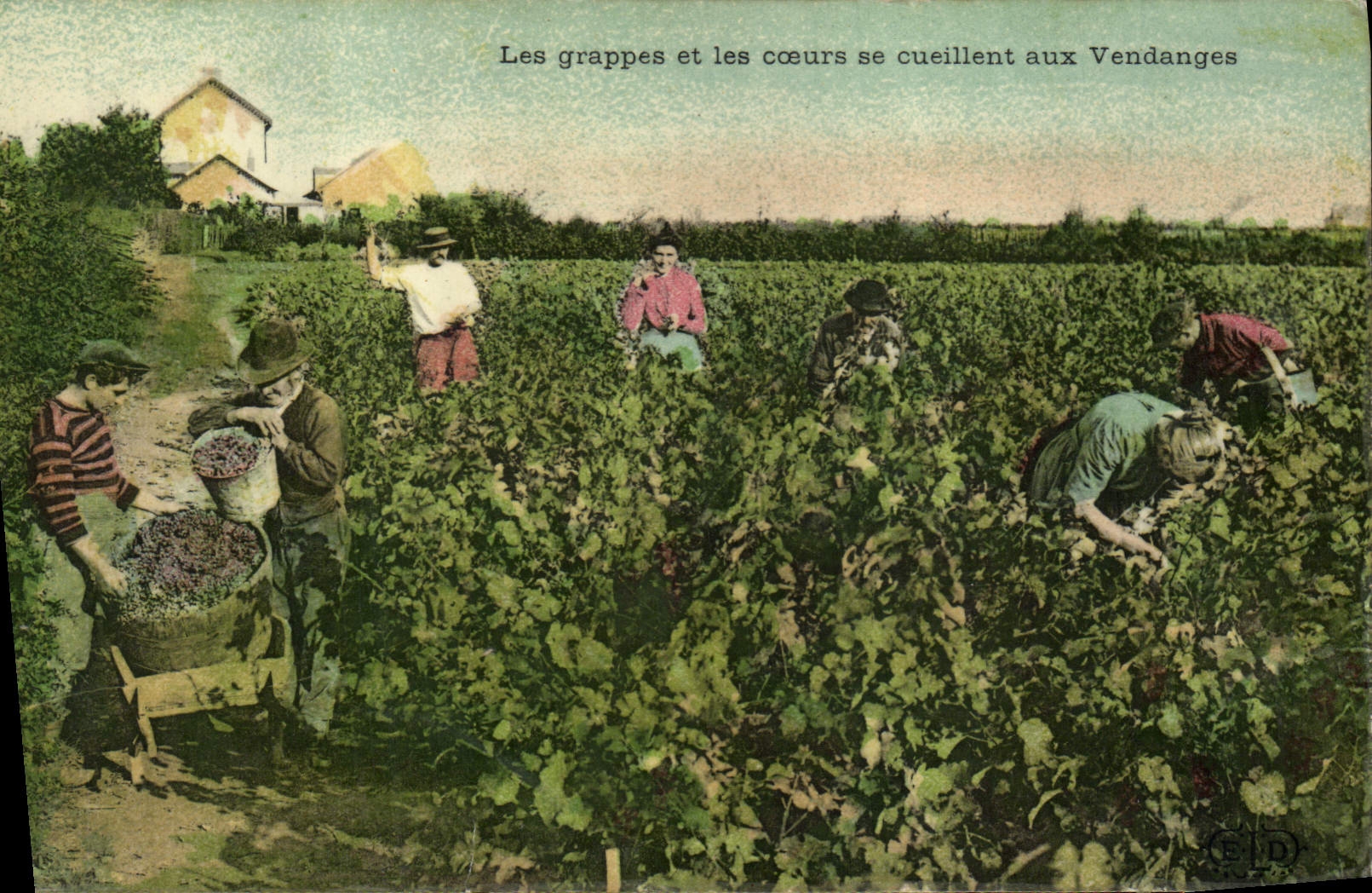 CPA Vin Vendanges Les grappes et les coeurs se cueillent aux vendanges 