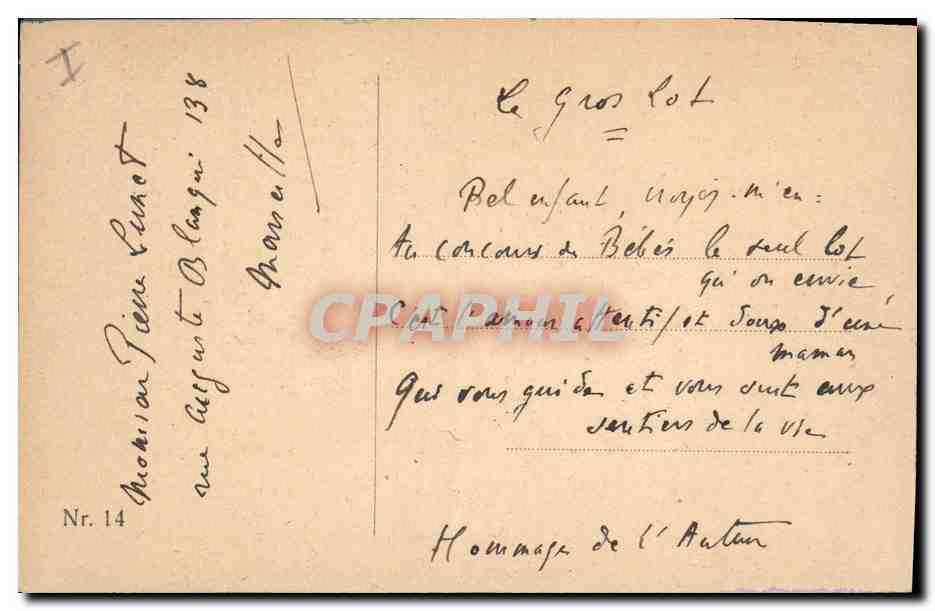 Un cerf près d'un arbre — illustration — éditeur non visible — Verso