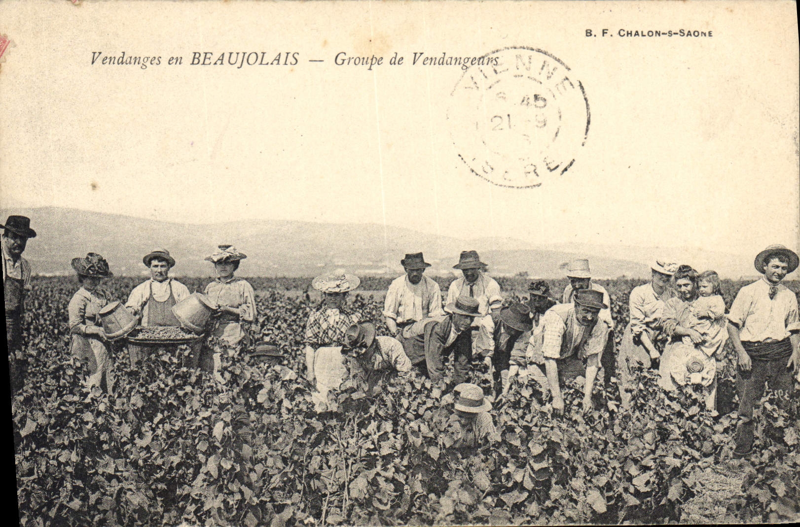 CPA Folklore Vin Vendanges en Beaujolais Groupe de vendangeurs