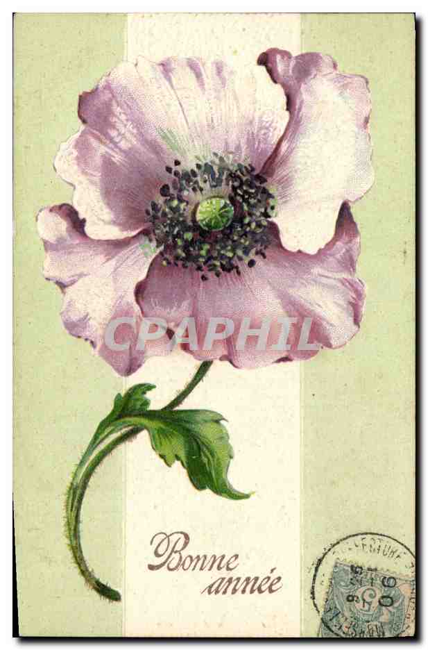 CPA Fantaisie Fleurs 