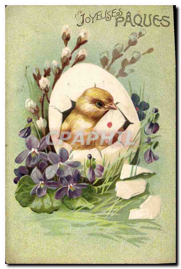 CPA Fantaisie Fleurs Poussin Oeuf Paques