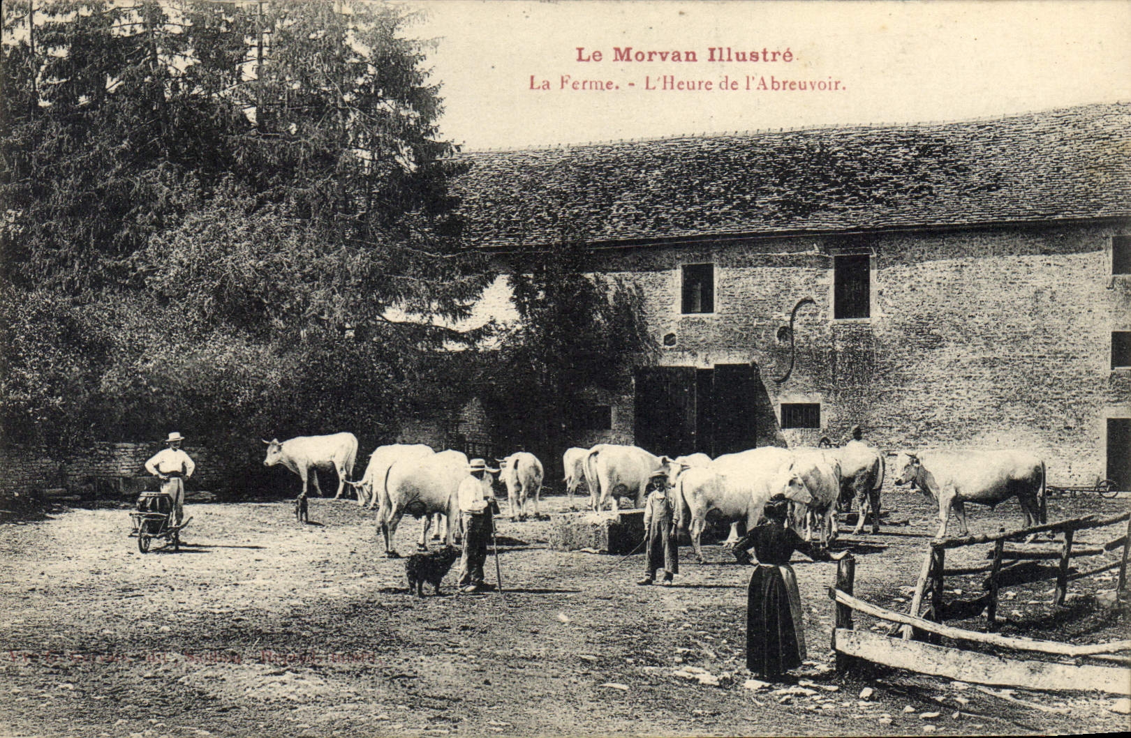 La Ferme - L'Heure de l'Abreuvoir — Le Morvan Illustré