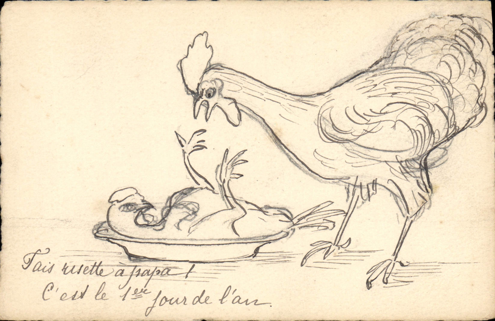 Gallina e pulcino — disegno umoristico — CPAPHIL