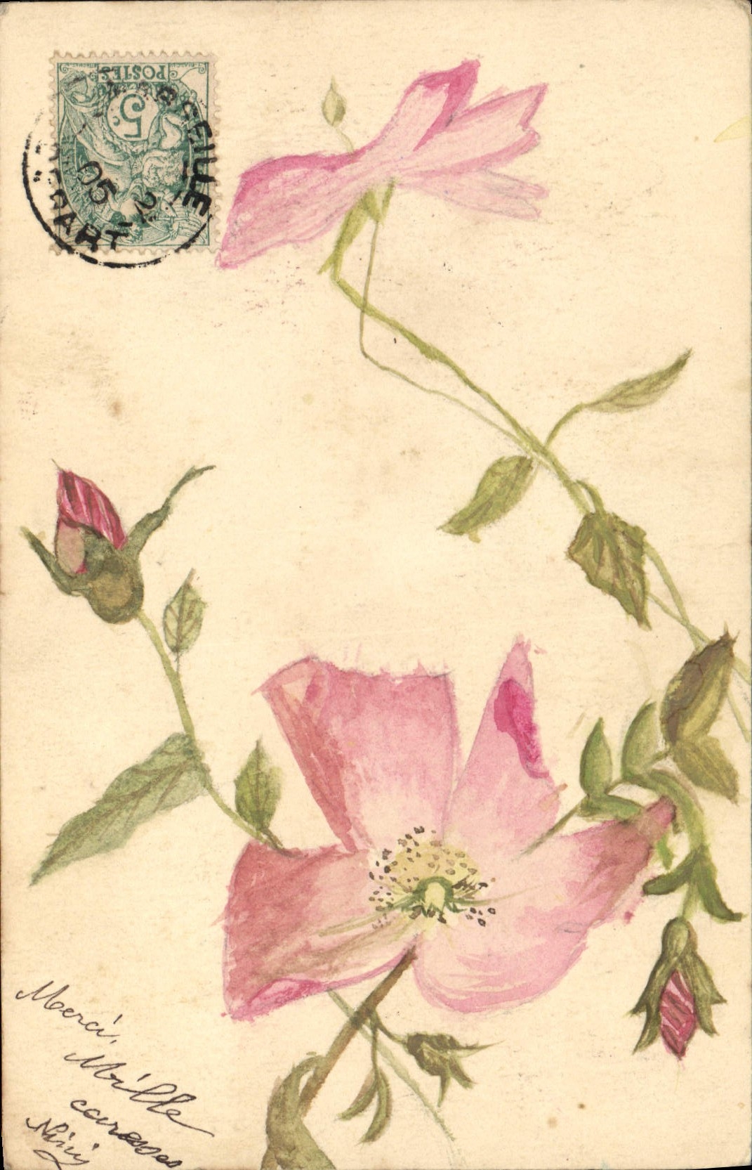 Fleurs roses — dessin à l'aquarelle — carte postale française