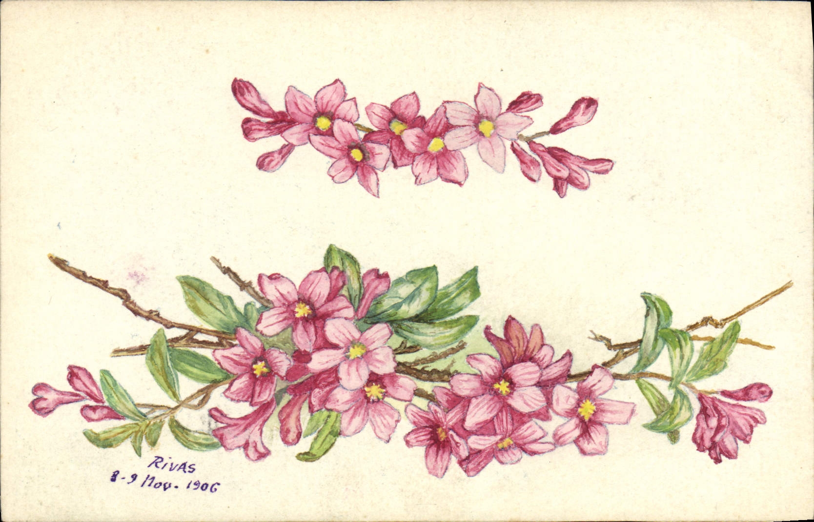 CPA Fantaisie Fleurs (dessin a la main) 