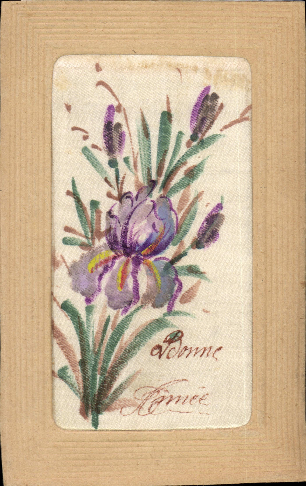 Iris — dessin à l'aquarelle — Fabr. Française