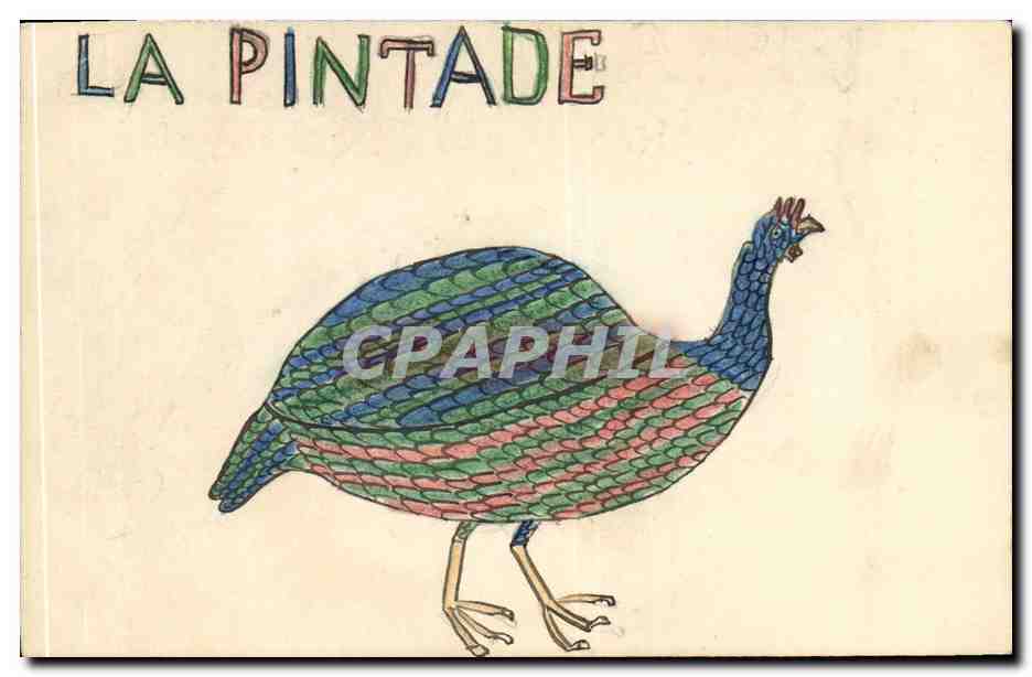 CPA Fantaisie (dessin a la main) La pintade Oiseau