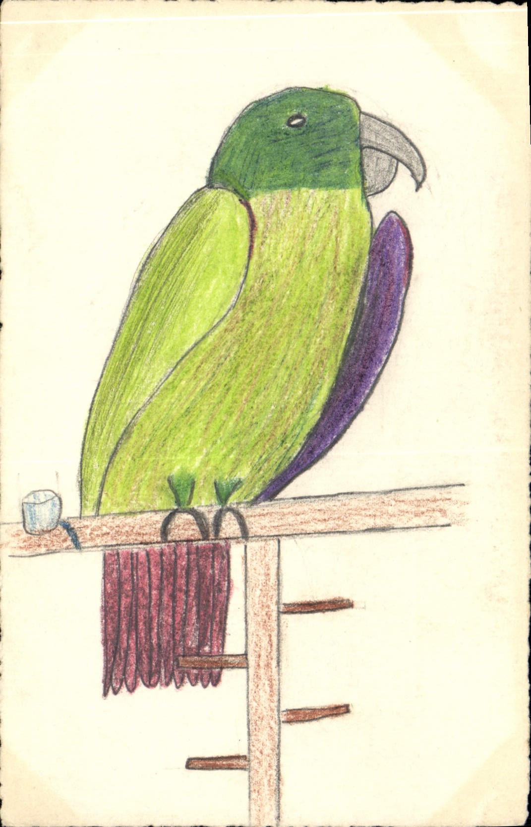CPA Fantaisie (dessin a la main) Perruche Oiseau