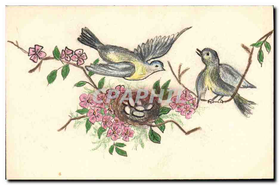 CPA Fantaisie (dessin a la main) Oiseaux