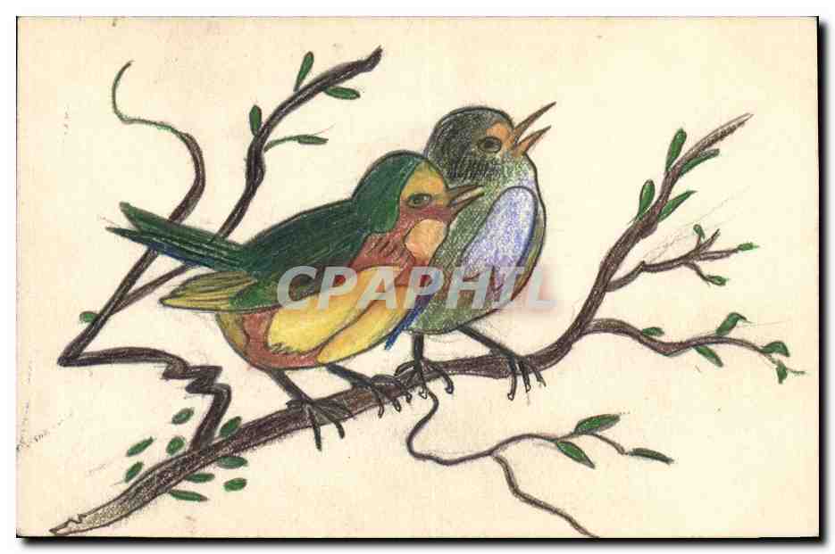 CPA Fantaisie (dessin a la main) Oiseaux