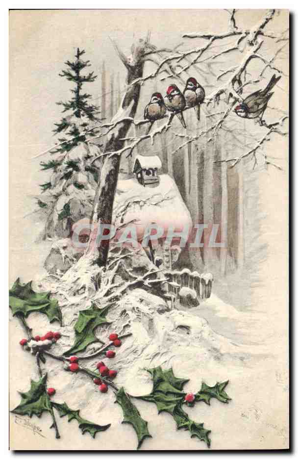 CPA Fantaisie Oiseaux 
