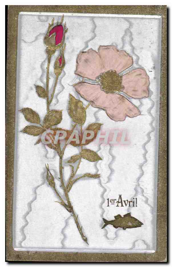 Fleur de rose — 1er Avril — Graphil