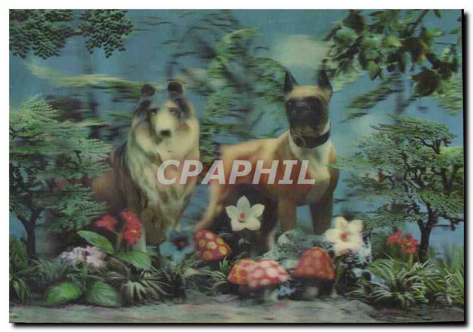 CPM Fantaisie Chiens (décor en relief)