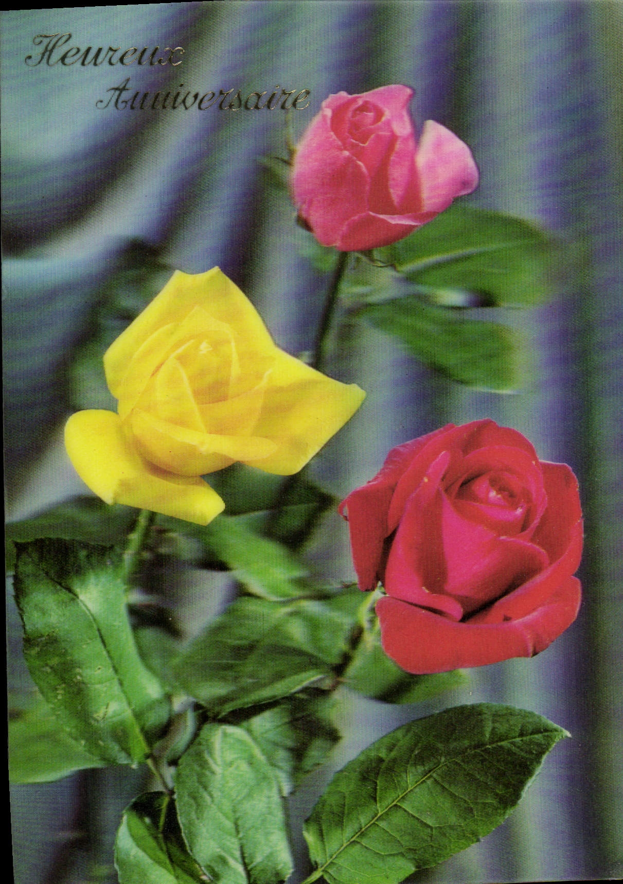 Roses 3 couleurs — Heureux Anniversaire — Publierief 3D, Paris
