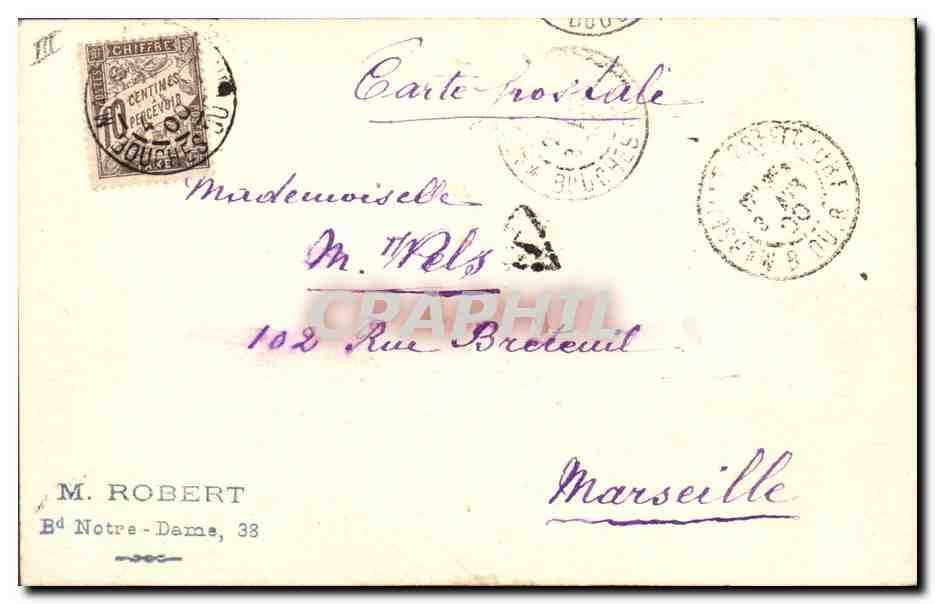 Fleurs de carthame — aquarelle signée Mathilde — 2/40 — Verso