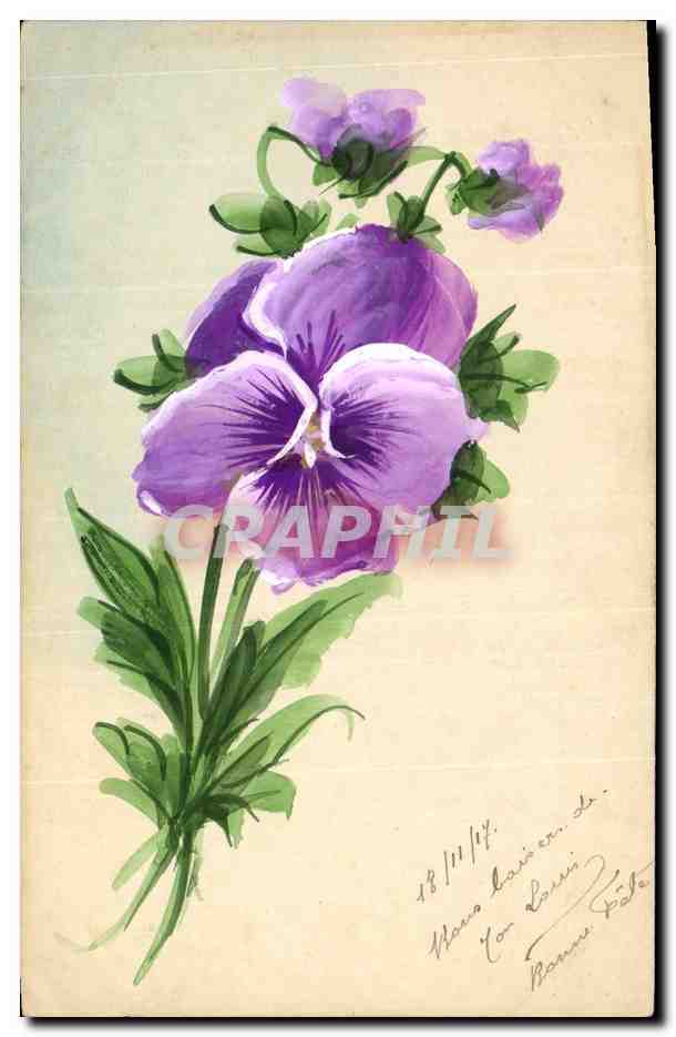 Violettes — dessin à l'aquarelle — éditeur inconnu, n° de série non visible