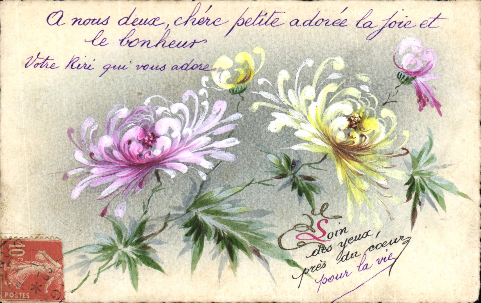 Fleurs de chrysanthèmes — carte postale illustrée — éditeur inconnu