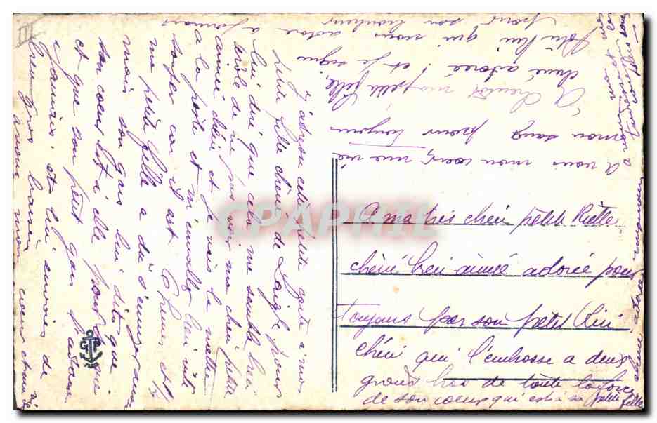 Fleurs de chrysanthèmes — carte postale illustrée — éditeur inconnu — Verso