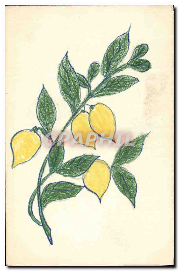 CPA Fantaisie (dessin a la main) Citrons 