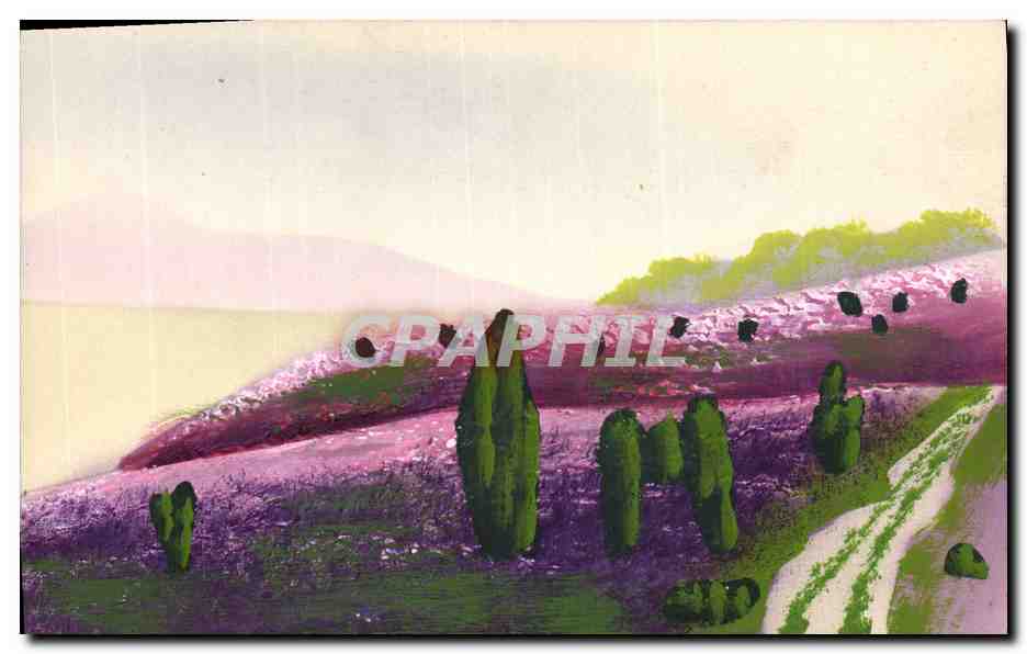 Lavande et cyprès — paysage provençal — éditeur inconnu