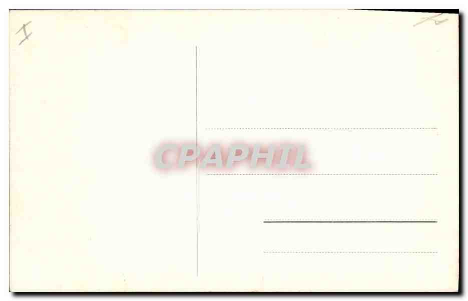 Lavande et cyprès — paysage provençal — éditeur inconnu — Verso