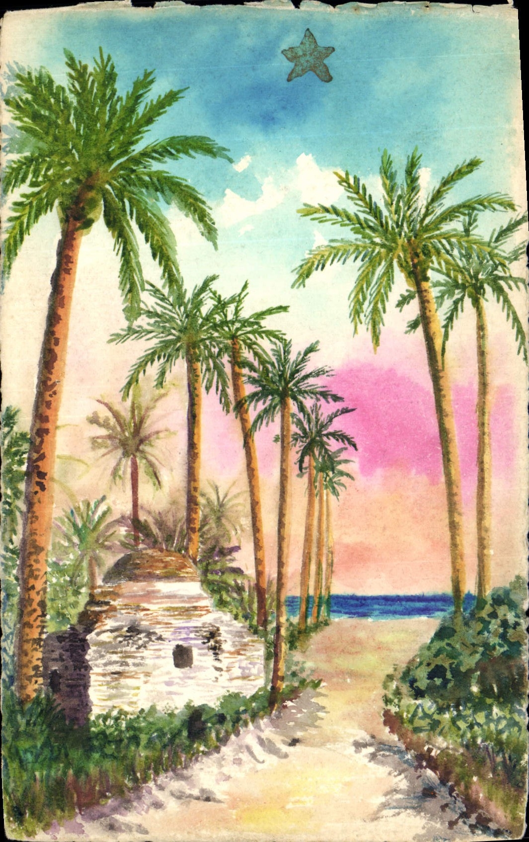 Paesaggio tropicale con palme — cielo stellato — cartolina francese
