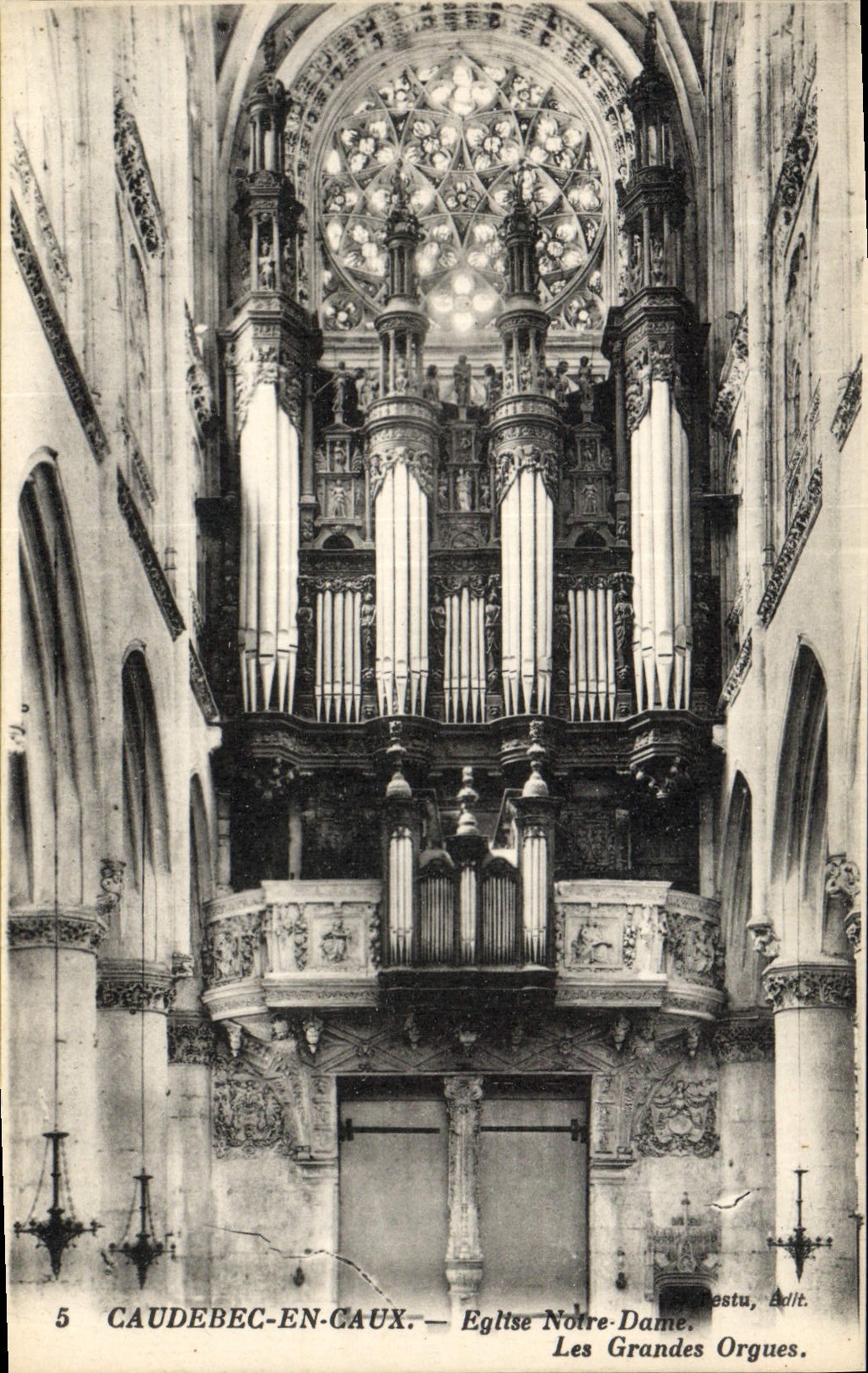 CPA Orgue Caudebec en Caux Eglise Notre Dame Les grands orgues