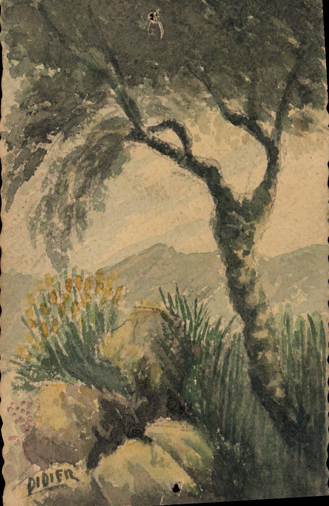 Paysage méditerranéen — arbre et rochers — œuvre de Didien