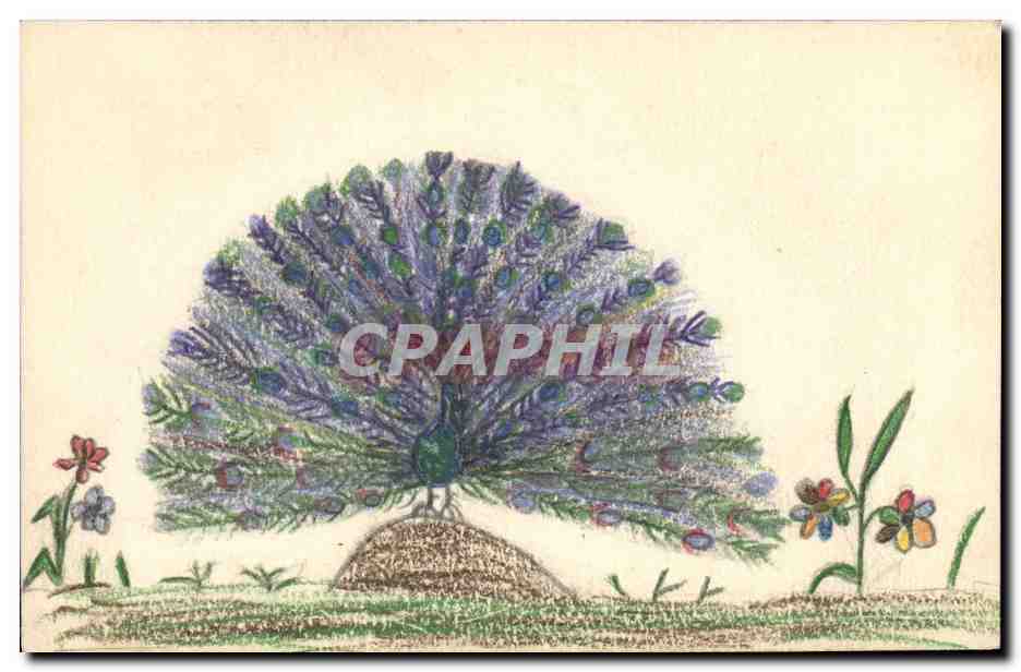 CPA Fantaisie (dessin a la main) Oiseau Paon