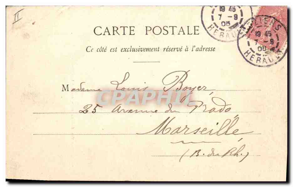 Béziers - Cathédrale St-Nazaire - Les Orgues - M. P., Phot. — Verso