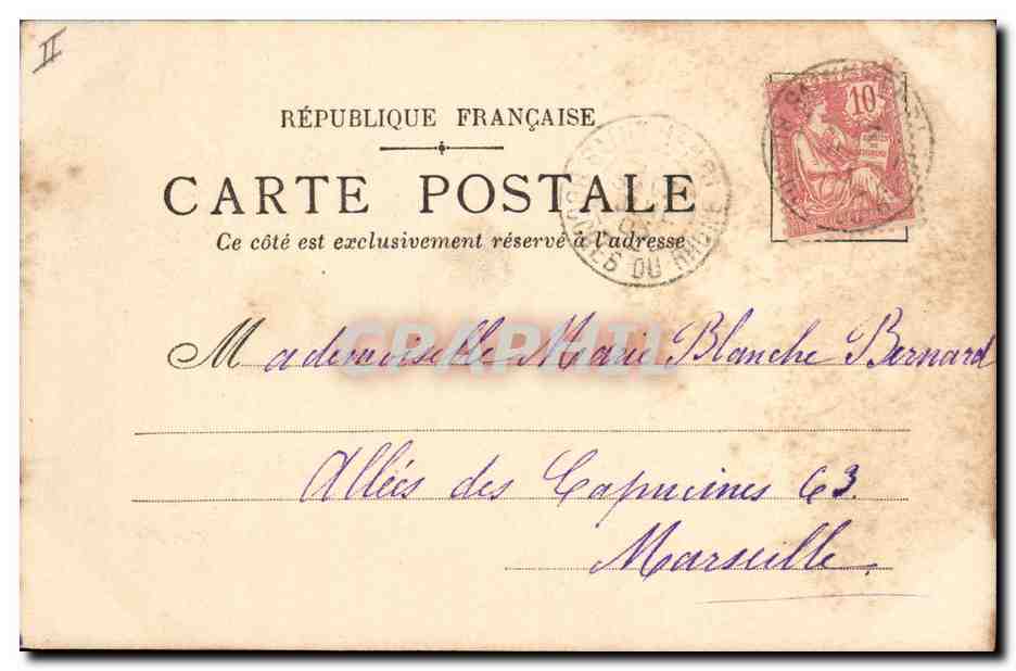 Paysage rural avec fleurs — carte postale datée du 17 juillet 1909 — éditeur non visible — Verso