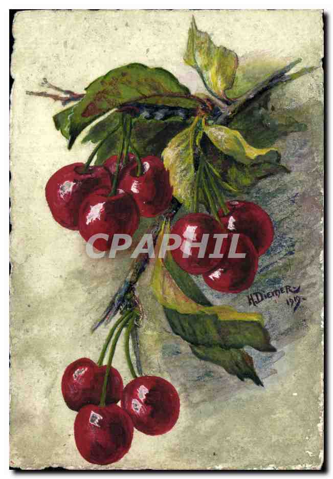 Cerises — peinture à l'aquarelle — H. Diemberg, 1919