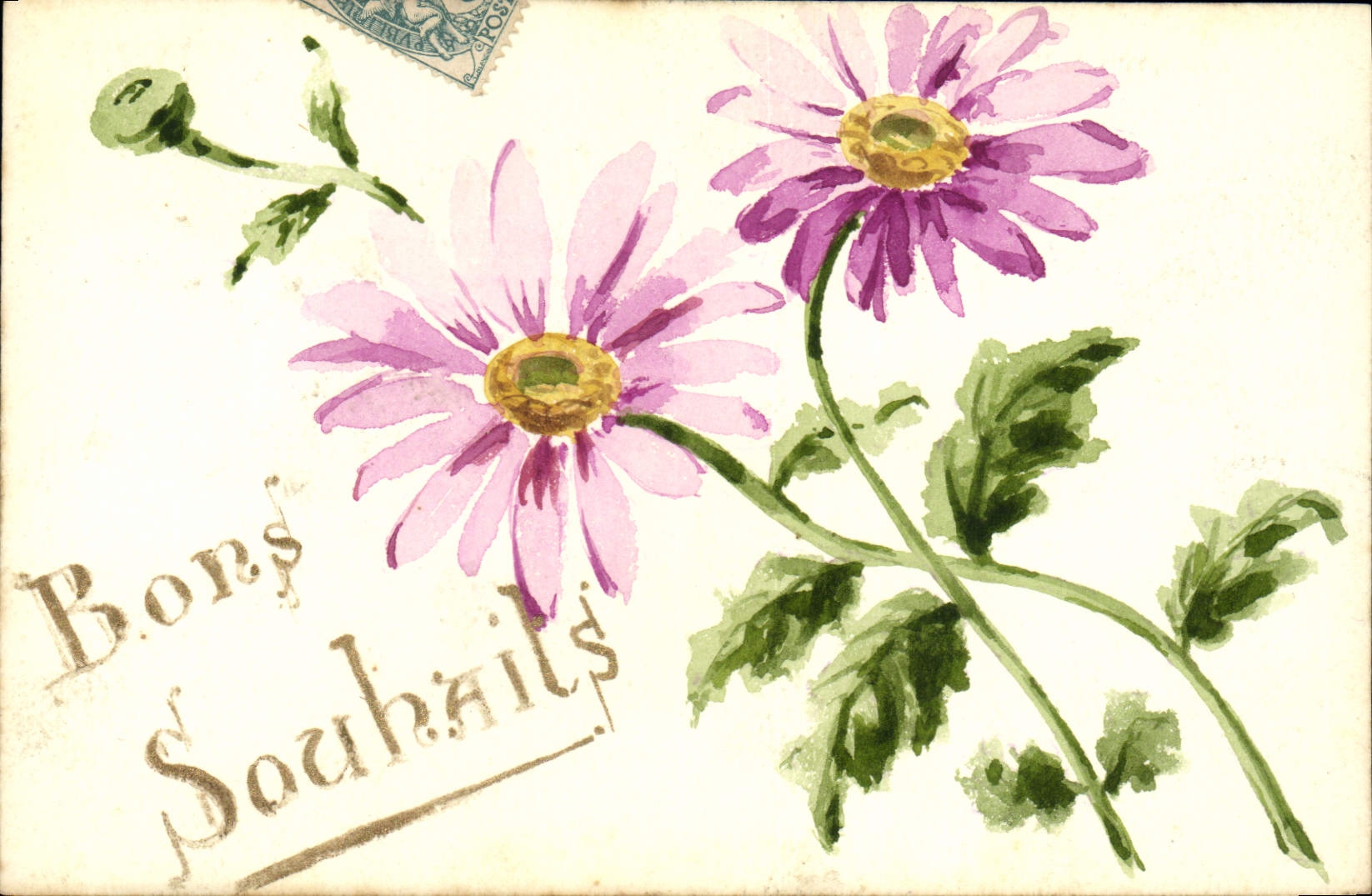 Fleurs violettes — Bons Souhaits — Carte postale illustrée