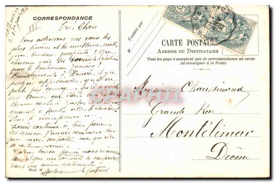 Fleurs violettes — Bons Souhaits — Carte postale illustrée — Verso