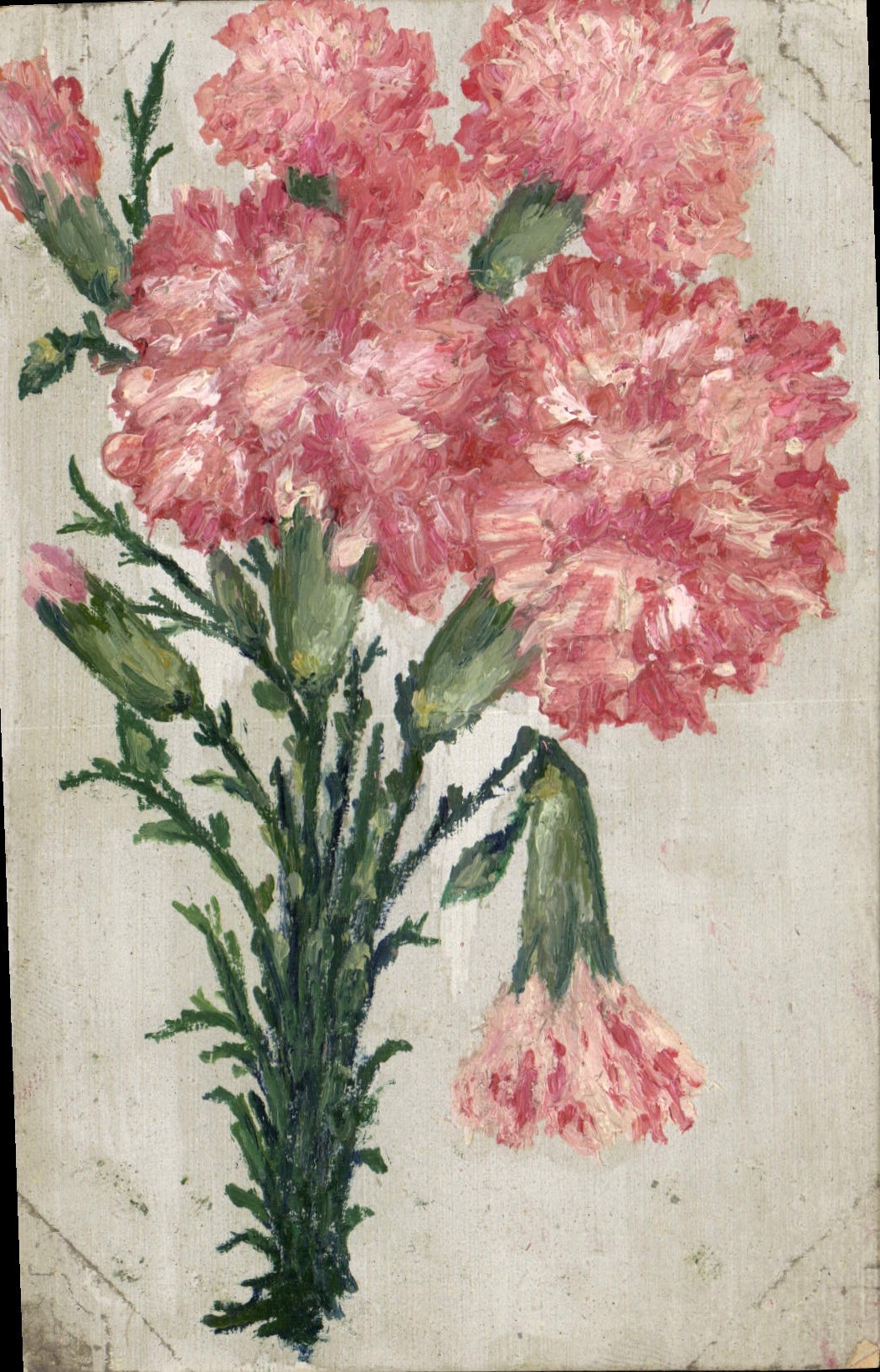 Bouquet de pâquerettes — peinture à l'huile — sans éditeur ni numéro visible
