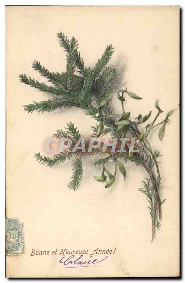 Branche de sapin et de gui — Bonne et Heureuse Année! — M. M. Vienne, Nr. 201