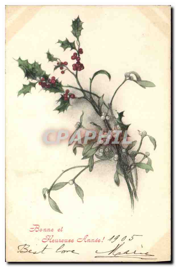 Bouquet de houx et de gui — Carte de vœux 1905 — M.M. Vienne, n° 201