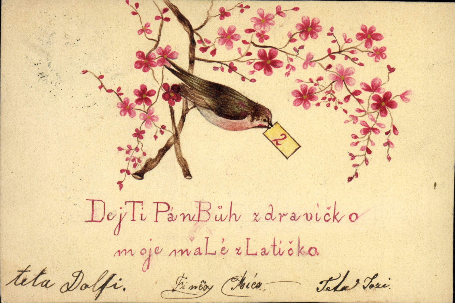 Oiseau sur branche de cerisier — carte postale illustrée — éditeur non identifié
