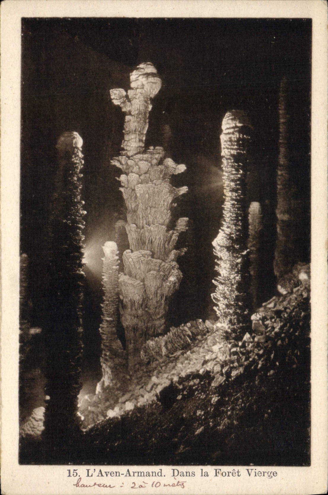CPA Grotte Grottes L'Aven Armand Dans la foret vierge