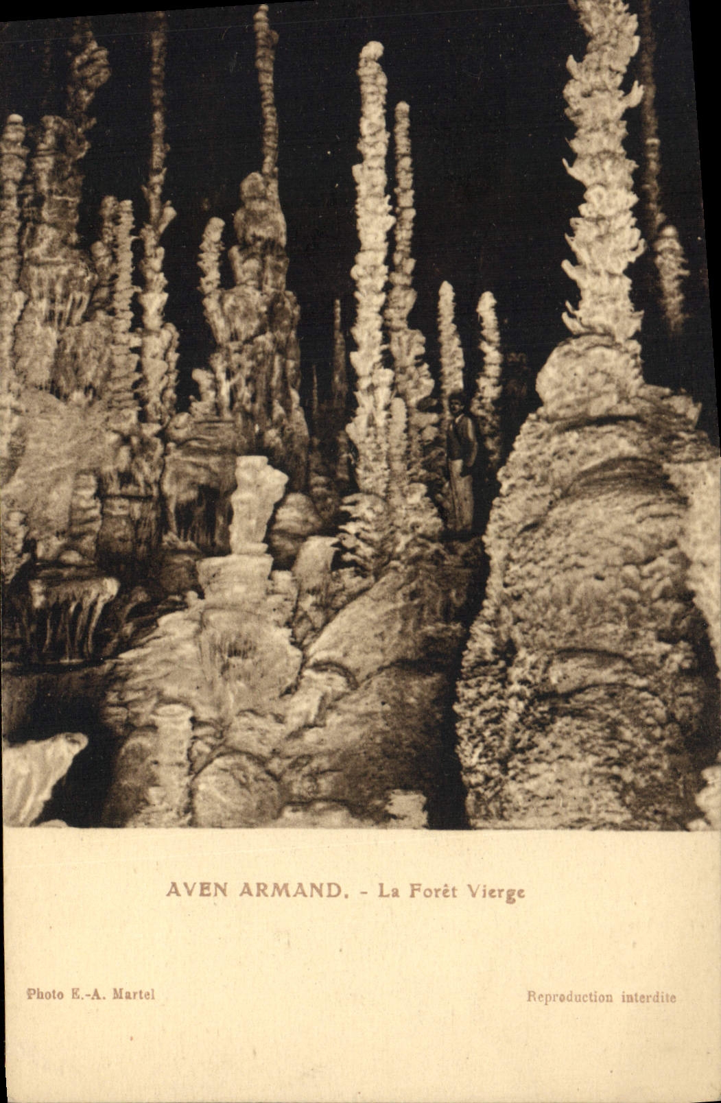 CPA Grotte Grottes L'Aven Armand La Foret vierge