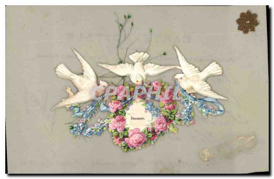 CPA Carte transparente Fleurs Colombes