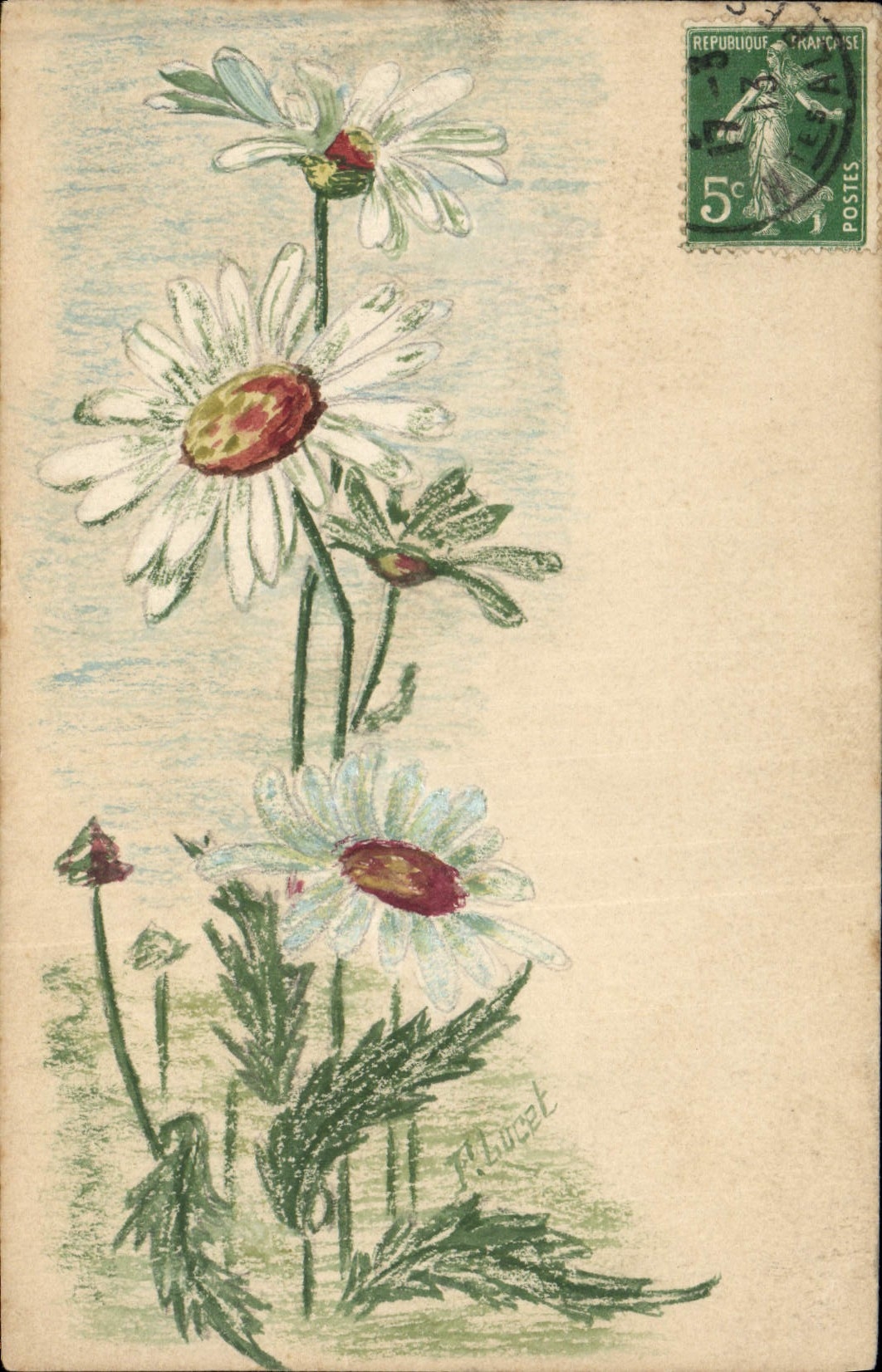 Margeriten — Aquarellzeichnung — Verlag R. Lucet
