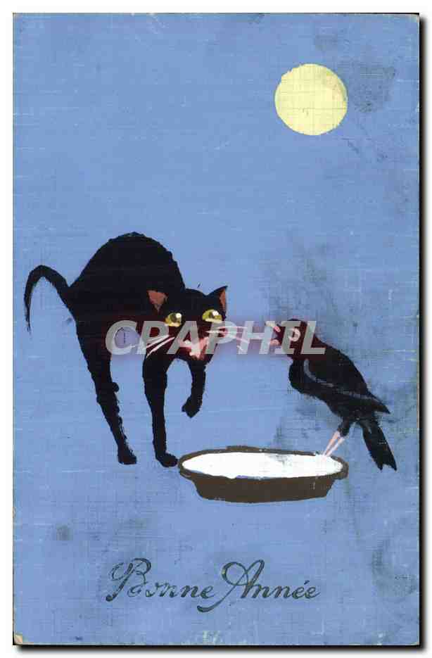 CPA Fantaisie (dessin a la main) Chat Oiseau