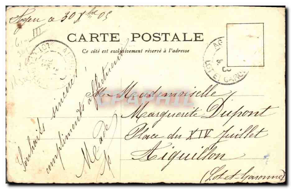 Fleurs violettes — 365 Jours de Bonheur — Made — Verso